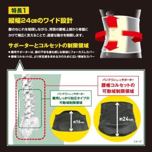 バンテリン コーワ サポーター 腰椎コルセット...の詳細画像2