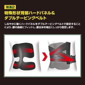 バンテリン コーワ サポーター 腰椎コルセット...の詳細画像3