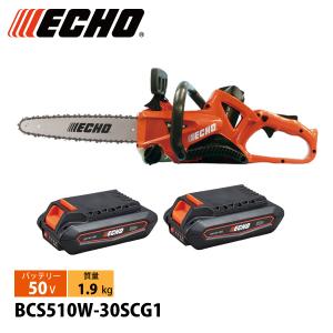 エコー 50V リチウムイオン 2Pバッテリー LBP-50-250G バッテリー 充