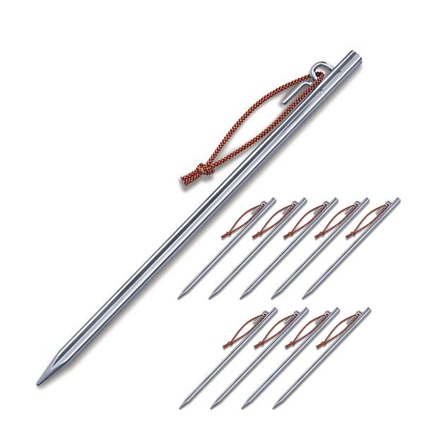 ヒルバーグ Xペグ 10本パック 12771008000000 国内正規品