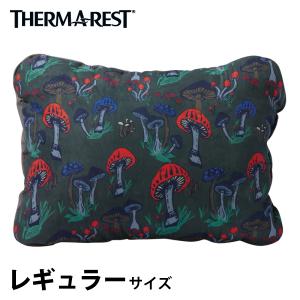 Therm-a-Rest（サーマレスト） Zライトソル レギュラー シルバー