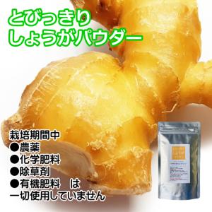 国産 野菜 粉末 とびっきりしょうがパウダー ...の詳細画像1