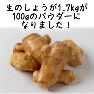 国産 野菜 粉末 とびっきりしょうがパウダー ...の詳細画像2