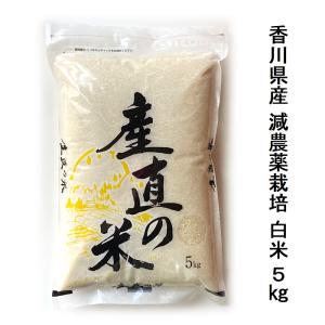 ブロリコ90錠 3個セット : 元気になるお薬屋さん - 通販 - Yahoo