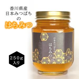 国産 非加熱のはちみつ 百花蜂蜜 日本みつばちの天然はちみつ 250ｇ ハニー ハチミツ ミツバチ 純粋｜安心食品のみつばち一番亭