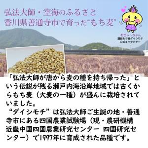 国産 讃岐もち麦 ダイシモチ 1500g もち...の詳細画像3