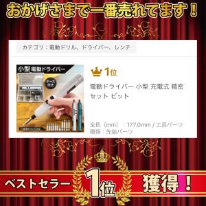 電動ドライバー 小型 充電式 精密 セット ビットの詳細画像1