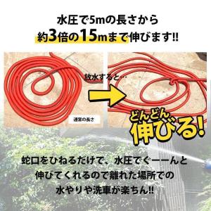 伸びるホース 15m ホース 耐久性 改良版 ...の詳細画像3