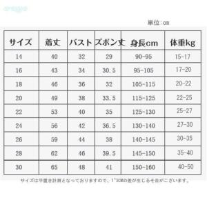 2024スタイル更新 サッカーウェア 上下セッ...の詳細画像1
