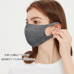 洗えるマスク 冷感マスク 夏用マスク 3枚セッ...の詳細画像2