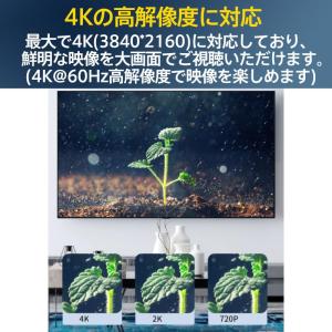 Type-C HDMI 変換ケーブル HDMI...の詳細画像3