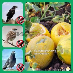 鳥よけ カイト 鷹 (ポール竿付) 軽量丈夫 ...の詳細画像1