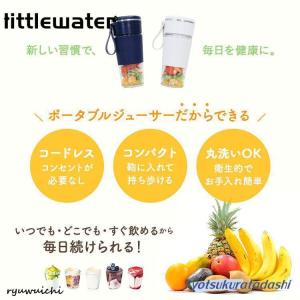 電動ジューサー ミキサー 小型 氷対応 洗いや...の詳細画像1