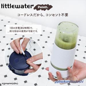 電動ジューサー ミキサー 小型 氷対応 洗いや...の詳細画像2