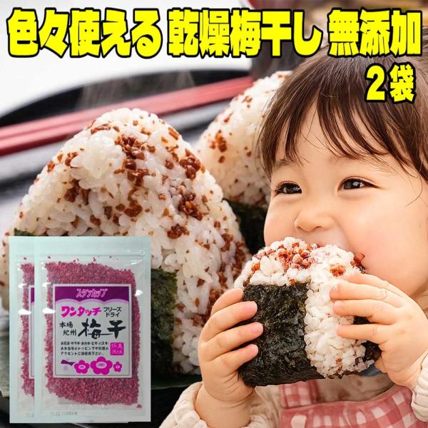 フリーズドライ 梅干し 色々使える 無添加 紀州産乾燥梅干し 38g×2袋 送料無料 干し梅 国産 ...