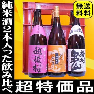 遅れてごめんね 母の日 ギフト 贈り物 2026 酒 日本酒 お酒 純米酒2本入った激安6本詰め合わせセット プラケース入