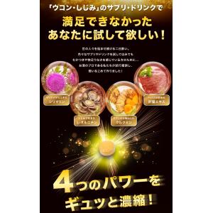 酒のプロも飲むサプリ ヘパプラス 60粒×1個...の詳細画像2