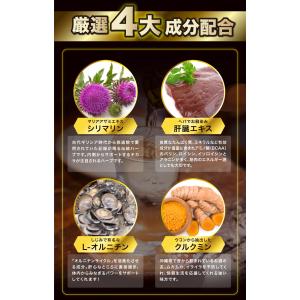 酒のプロも飲むサプリ ヘパプラス 60粒×1個...の詳細画像5