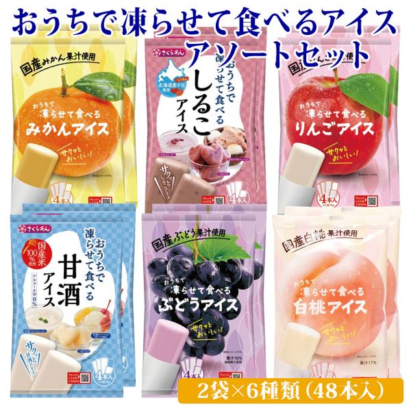 シャーベット 詰め合わせ アイス おうちで凍らせて食べるアイス12袋セット 2袋×6種類（48本入）...