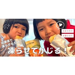 おうちで凍らせて食べる シャーベット アイス ...の詳細画像1