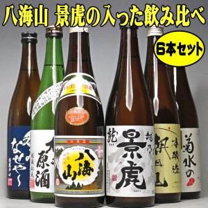 バレンタイン ギフト 贈り物 2026 酒 日本酒 お酒 新政 純米酒仕込み貴