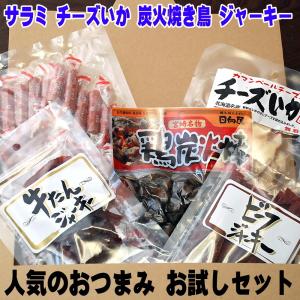 サラミ 宮崎焼き鳥 ビーフジャーキー 人気のおつまみ詰め合わせ 行楽セット 送料無料
