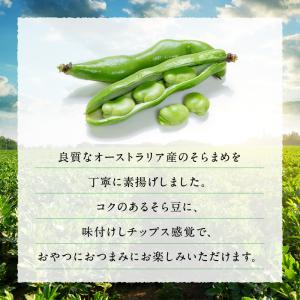 酒 つまみ 豆やみつき 塩そら豆 4種から選べ...の詳細画像1