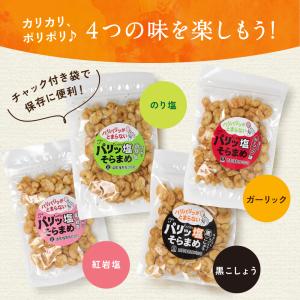 酒 つまみ 豆やみつき 塩そら豆 4種から選べ...の詳細画像5