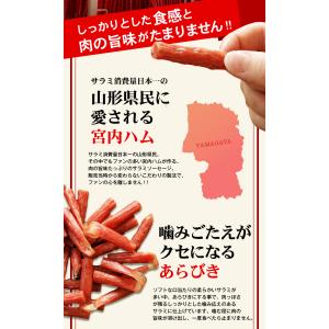 サラミ 訳あり 1000円 ポッキリ 宮内ハム...の詳細画像4