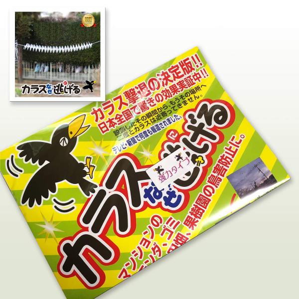 カラスなぜ逃げる？強力タイプＫＳ−００２ 撃退率95％以上 カラス撃退 カラス除け グッズ 忌避 駆...