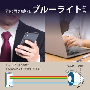 PDA工房 Xperia 1 V/Xperia...の詳細画像3