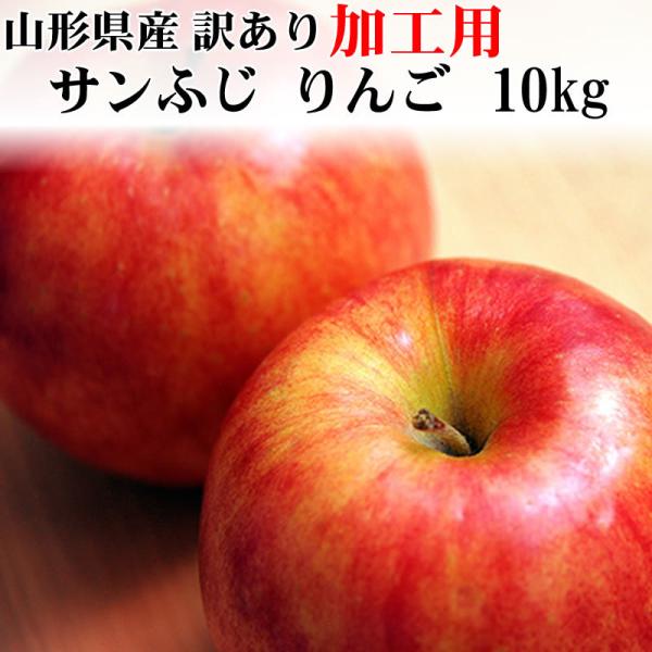 予約販売12月上旬よりご予約発送 加工用 訳あり りんご サンふじ 10kg 送料無料 山形県産 [...