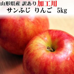 加工用 訳あり りんご サンふじ 5kg 送料無料 山形県産 [加工用りんご５キロ]