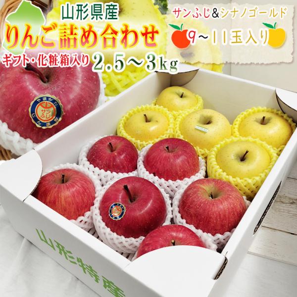 予約販売 りんご詰め合わせ サンふじ&amp;シナノゴールド2.5~3kg 送料無料 ギフト [りんご詰め合...
