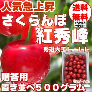 予約販売 さくらんぼ 紅秀峰 秀品 置き並べ L・LL 500g 山形県東根産  [紅秀峰置き並べ５００グラム] チルド便（クール便） 予約販売｜miuranouen