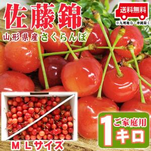 予約販売 さくらんぼ 訳あり ご家庭用 佐藤錦 1kg 山形県産  [佐藤錦ご家庭用ＭＬ１キロ] チルド便（クール便）｜東北の農産特産品アグリパートナー