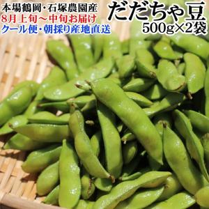 だだちゃ豆1kg 8月上旬〜中旬発送予定 本場鶴岡産 クール便 朝採り・当日発送 【送料無料(沖縄県・離島の除く)】 [だだちゃ豆５００ｇ×２袋]｜miuranouen