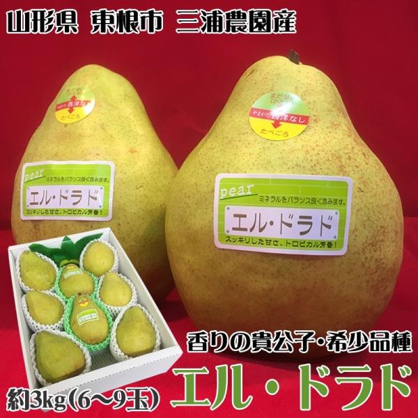 西洋梨 エルドラド3kg・希少品種・香りの貴公子 ポイント10倍 山形県産東根市産 [エルドラド３キ...