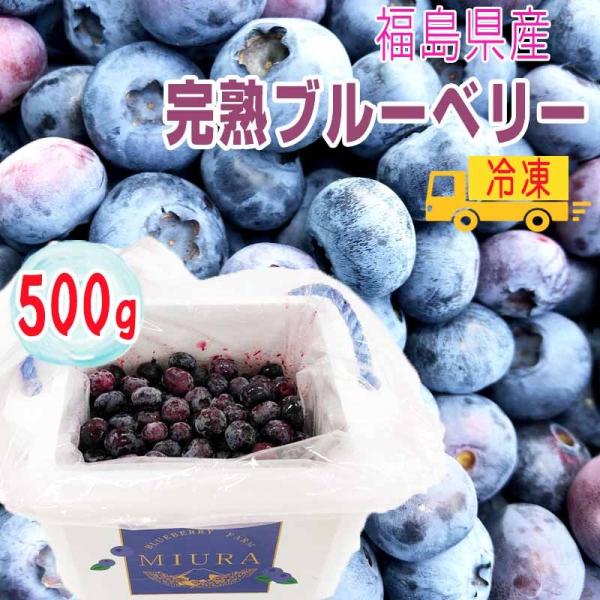 ブルーベリー 500g 福島県産 減農薬 無化学肥料栽培 冷凍