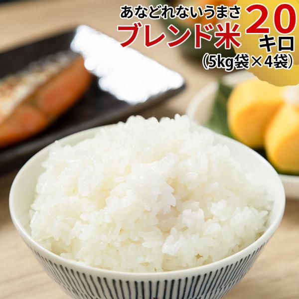 米 ブレンド米 玄米20kg 白米 18kg 無洗米 18kg (5キロ袋×4 ) 国産 送料無料 ...