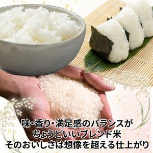 米 ブレンド米 玄米20kg 白米 18kg ...の詳細画像2