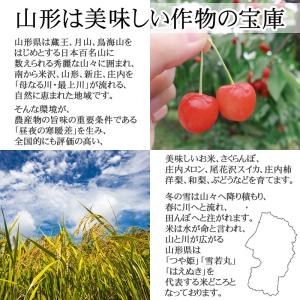 米 令和7年産 米 お米 10kg×1 はえぬ...の詳細画像1