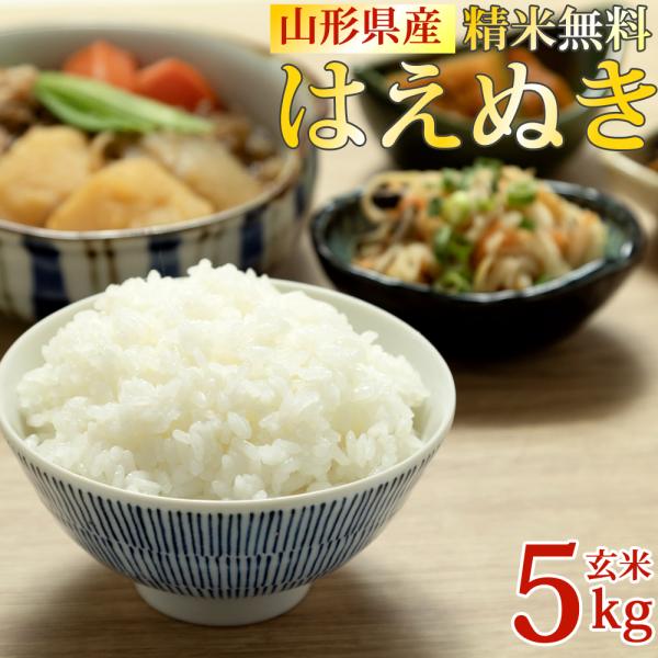 米 令和7年産 米 お米 玄米5kg はえぬき 山形産 白米・無洗米・分づきにお好み精米 送料無料 ...