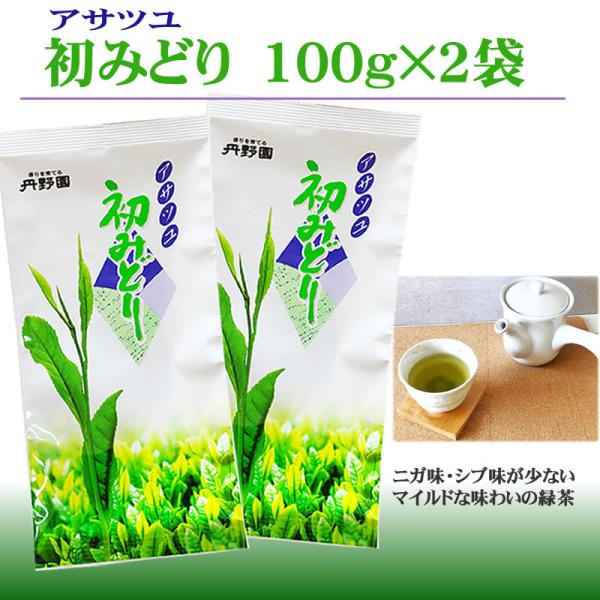 初みどり×２袋 [初みどり100g×2袋 L2] 送料無料 メール便 YP 即送
