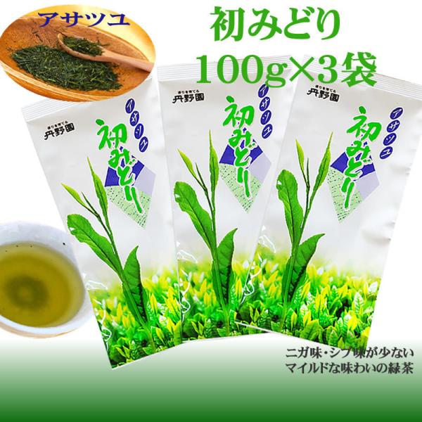 初みどり×３袋 [初みどり100g×3袋 L2] 送料無料 メール便 YP 即送