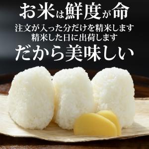 米 10kg×2 ひとめぼれ 玄米20kg 令...の詳細画像4