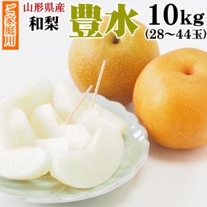 予約販売 9月上旬〜9月下旬頃順次発送 山形県産...の商品画像