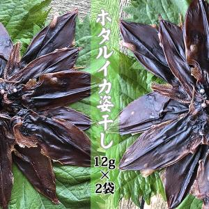 [ホタルイカ姿干 24g(12g×2袋) S2] 素干し 送料無料 メール便 日本海産 YP 即送