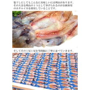 ホタルイカ姿干 12g/1袋 送料別 まとめ買...の詳細画像2