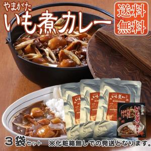 【送料無料】【メール便】やまがた いも煮カレー3袋【レビュー記載で送料無料】[いも煮カレー×3袋] YP 即送｜miuranouen